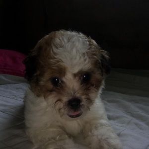 Meet your Posher, Marygrace